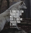Irracional