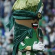Shino