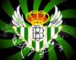 pelu_RC24