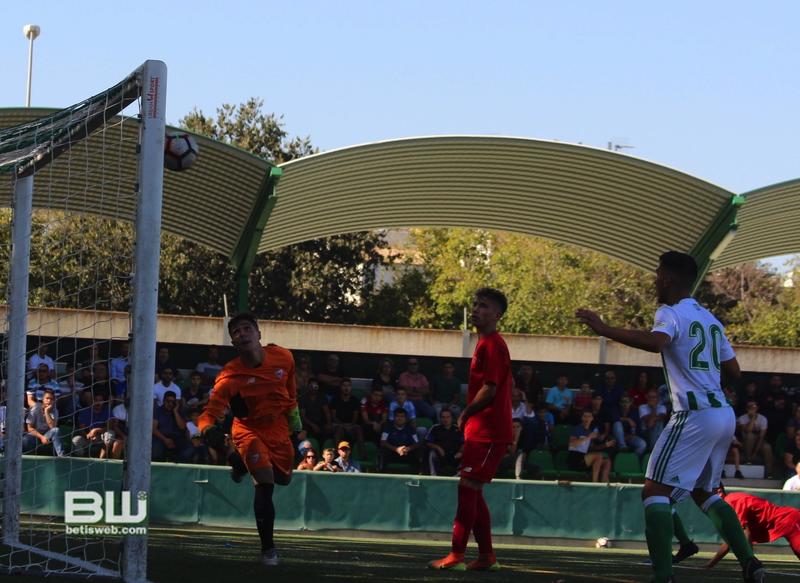 Haga clic en la imagen para ver una versin ms grande

Nombre:	aJ8 Cadete A Betis - Sevilla 102.jpg
Visitas:	1
Size:	71,8 KB
ID:	6667847