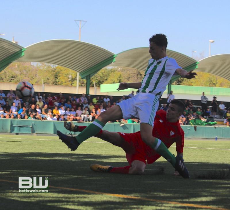 Haga clic en la imagen para ver una versin ms grande

Nombre:	aJ8 Cadete A Betis - Sevilla 78.jpg
Visitas:	1
Size:	69,0 KB
ID:	6667850