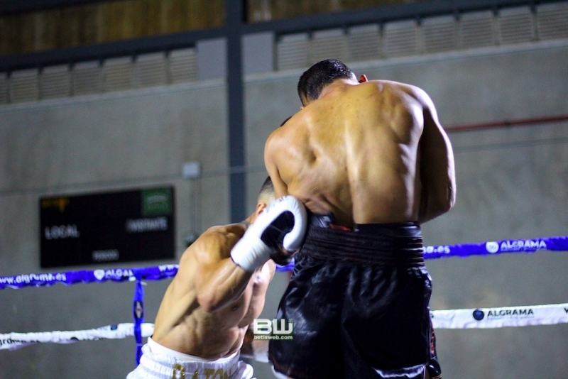 Boxeo Ratón Perez 8-06-19 1125