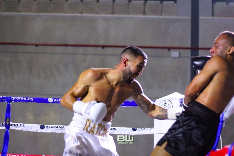 Boxeo Ratón Perez 8-06-19 1139
