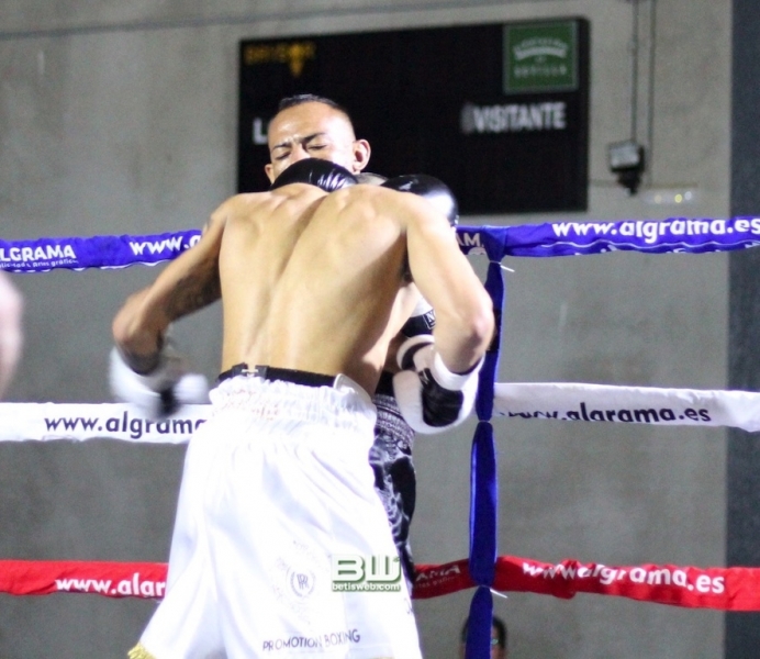 Boxeo Ratón Perez 8-06-19 30