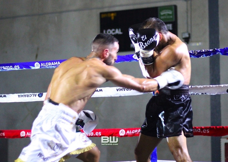 Boxeo Ratón Perez 8-06-19 300