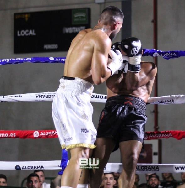 Boxeo Ratón Perez 8-06-19 301