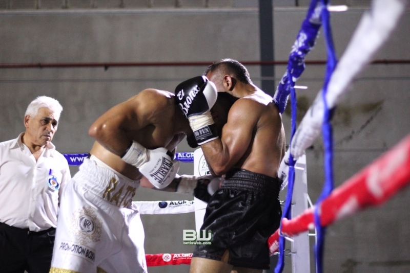 Boxeo Ratón Perez 8-06-19 304