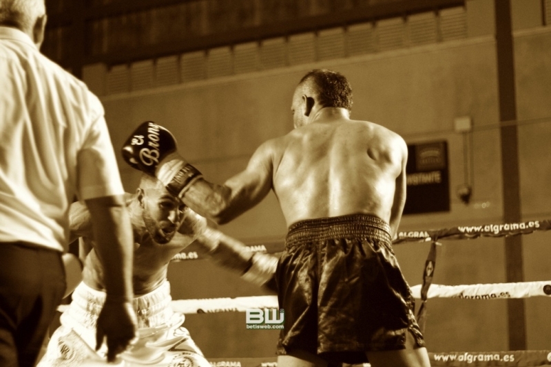 Boxeo Ratón Perez 8-06-19 360
