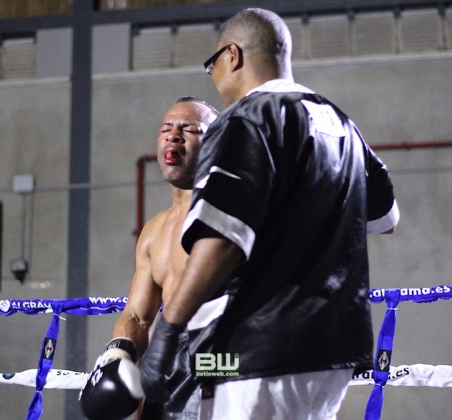 Boxeo Ratón Perez 8-06-19 436