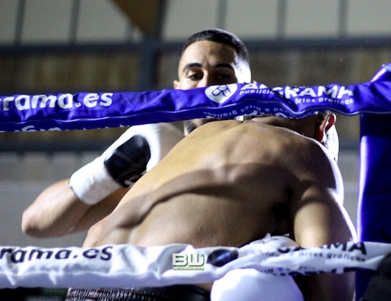 Boxeo Ratón Perez 8-06-19 49